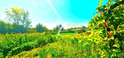 Teren 1486mp.D=50m.cu casa 3 camere locuibila, Tulcea-Somova-Mineri - Mineri