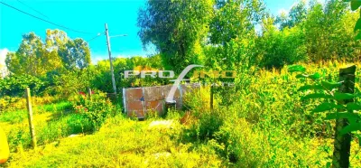 Teren 1486mp.D=50m.cu casa 3 camere locuibila, Tulcea-Somova-Mineri - foto 7