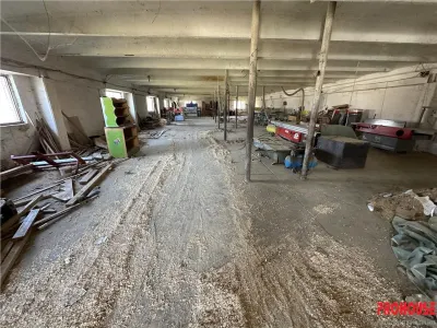 Letea Veche - Radomiresti - Hala 409 - teren 4.650mp - foto 5