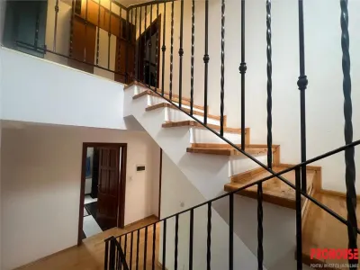 Proprietate deosebita de vanzare in centrul Bacaului- eleganta, istorie si investitie intr-o singura vila! - foto 21