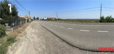 Bogdan Voda - E85 - teren stradal - foto 3