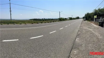 Bogdan Voda - E85 - teren stradal - foto 5