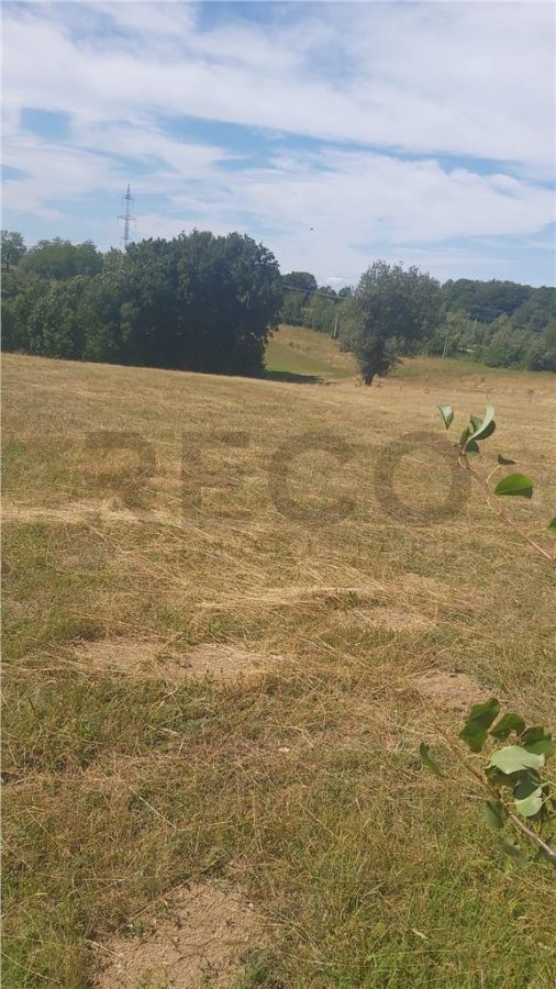RECO, Teren intravilan, zona Sinteu, 2 Km de Huta Slavia - Sinteu