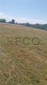 RECO, Teren intravilan, zona Sinteu, 2 Km de Huta Slavia - foto 2