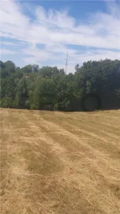 RECO, Teren intravilan, zona Sinteu, 2 Km de Huta Slavia - foto 3