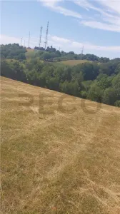 RECO, Teren intravilan, zona Sinteu, 2 Km de Huta Slavia - foto 4