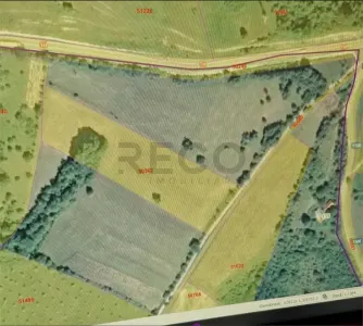 RECO, Teren intravilan, zona Sinteu, 2 Km de Huta Slavia - foto 6