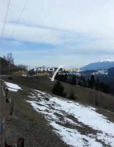 Moeciu, Drumul Carului, teren 3750 mp, 75000 euro - Moieciu
