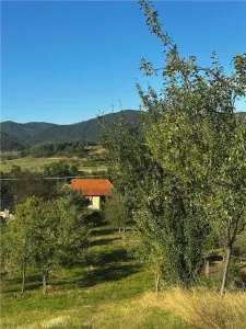 Reco Casa cu teren in Budureasa, langa Stana de Vale - foto 4