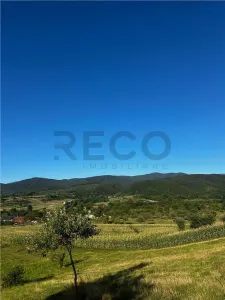 Reco Casa cu teren in Budureasa, langa Stana de Vale - foto 7