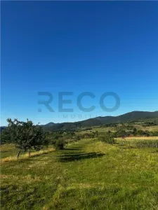 Reco Casa cu teren in Budureasa, langa Stana de Vale - foto 8