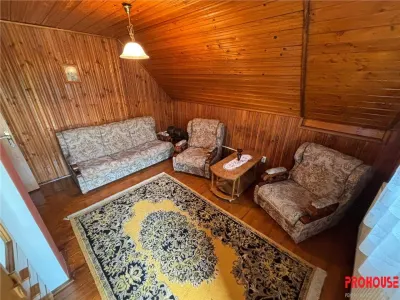 OFERTA LIMITATA - VILA DEOSEBITA IN SLATINA - LUNCANI - OAZA DE LINISTE LA MARGINEA PADURII - foto 15