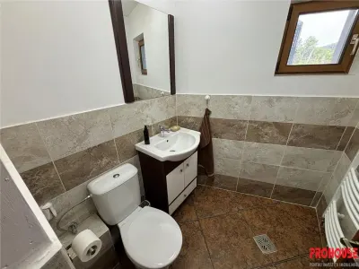 OFERTA LIMITATA - VILA DEOSEBITA IN SLATINA - LUNCANI - OAZA DE LINISTE LA MARGINEA PADURII - foto 20