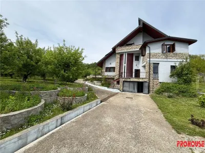 OFERTA LIMITATA - VILA DEOSEBITA IN SLATINA - LUNCANI - OAZA DE LINISTE LA MARGINEA PADURII - foto 4