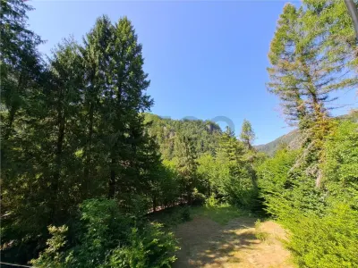 RECO  Casa Boga - Pietroasa