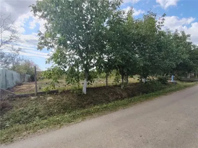 RECO teren intravilan in Saliste de Beius - foto 3