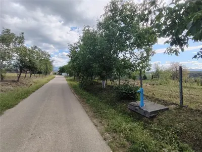 RECO teren intravilan in Saliste de Beius - foto 4