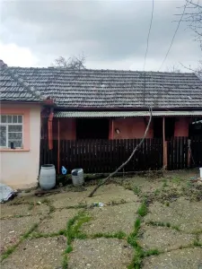 Reco Casa 3 camere si teren 2600mp in Burzuc - foto 6