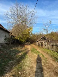 Reco Casa 3 camere si teren 2600mp in Burzuc - foto 8