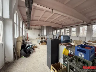 Hale industriale de inchiriat cu platforma betonata de 10.424mp - Șerbanesti - foto 7
