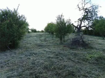 RECO Teren intravilan zona Podgoria - foto 4