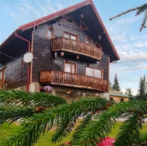 Cabana/ Afacere la Cheie, Neagra Sarului C-5172 - foto 1