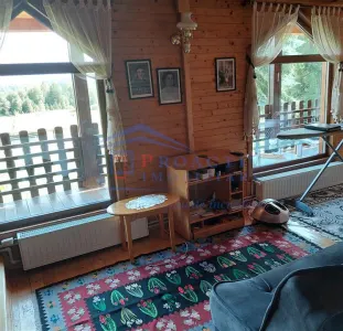 Cabana/ Afacere la Cheie, Neagra Sarului C-5172 - foto 9