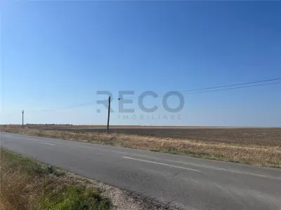 RECO Teren extravilan cu acces  la drumul Oradea-Livada de Bihor - foto 9