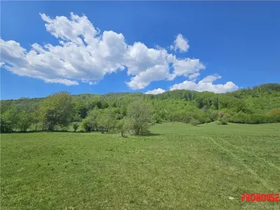 EXCEPTIONAL,Teren 5.370mp, Poiana Sarata - foto 3