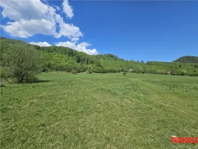 EXCEPTIONAL,Teren 5.370mp, Poiana Sarata - foto 4