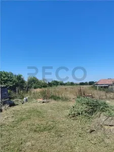 RECO Teren intravilan in Paleu la doar  22euro/mp - foto 1
