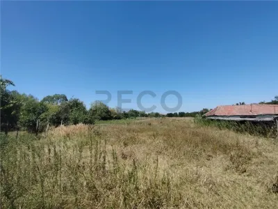 RECO Teren intravilan in Paleu la doar  22euro/mp - foto 2