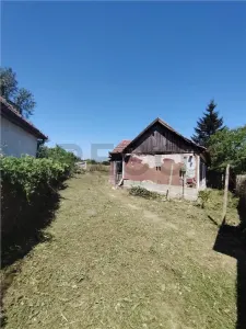 RECO Teren intravilan in Paleu la doar  22euro/mp - foto 3