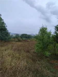 RECO Teren intravilan Lazareni - foto 5