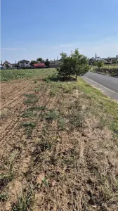 Reco Teren Extravilan Episcopia aproape de Remarkt - Oradea