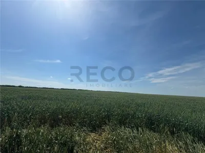 RECO Parcele de Teren Industrial Nojorid - foto 3