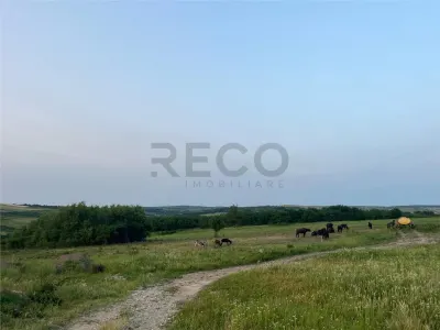 RECO Teren in Paleu 903 mp, acces rapid din Saldabagiu de Munte - foto 11
