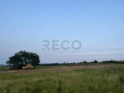 RECO Teren in Paleu 903 mp, acces rapid din Saldabagiu de Munte - foto 12