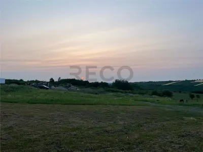 RECO Teren in Paleu 903 mp, acces rapid din Saldabagiu de Munte - foto 3
