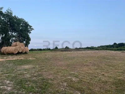 RECO Teren in Paleu 903 mp, acces rapid din Saldabagiu de Munte - foto 4