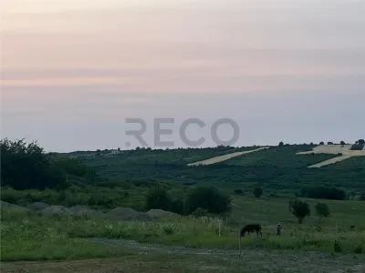 RECO Teren in Paleu 903 mp, acces rapid din Saldabagiu de Munte - foto 6