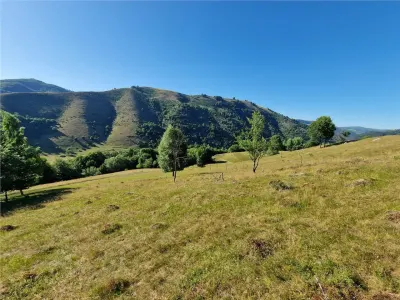 RECO teren extravilan Remeti - foto 2