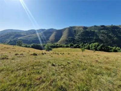 RECO teren extravilan Remeti - foto 6