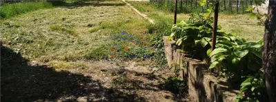 Teren intravilan, Burdujeni, T-7294 - Suceava
