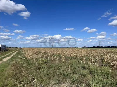 RECO Teren intravilan cu PUZ aprobat-Livada de Bihor - foto 8