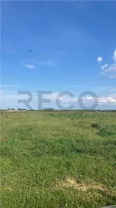 RECO TEREN VANZARE NOJORID - Nojorid
