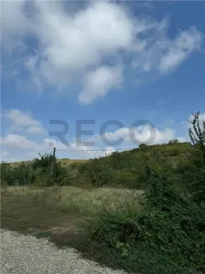 RECO, Teren intravilan, Piersicilor - foto 5