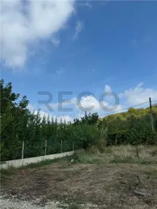 RECO, Teren intravilan, Piersicilor - foto 7