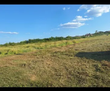 RECO Teren intravilan Paleu - foto 1