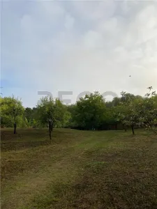 Reco Teren intravilan in Podgoria 2282mp - foto 2